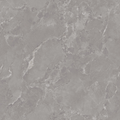 18066博洛尼亚深灰