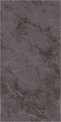 121P65宝诗龙深咖