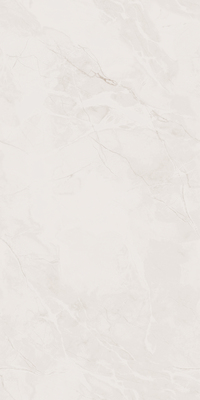 121P63宝诗龙浅咖